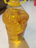 鲁花 食用油  物理压榨  非转基因 玉米油6.18L   实拍图