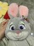 迪士尼（Disney）毛绒玩具公仔背包生日情人节礼物女友疯狂动物城朱迪兔子斜挎痛包 实拍图