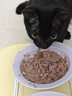 皇家（ROYAL CANIN）猫粮慕斯猫罐头湿粮奶糕幼猫粮全价粮 欧洲原装进口猫咪主食罐头 【1170g 猫奶糕罐头】195g*6罐 实拍图