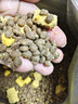 台派狗粮冻干四拼全价全期成犬幼犬小中大型犬通用型狗干粮2kg 实拍图