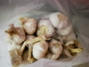 【百万单爆品】紫白皮蒜水果大蒜超市生鲜蔬菜调料即食蒜 【优选】 1斤 单果3.5-5cm 实拍图