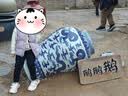 基诺浦学步鞋春秋季男女透气机能鞋复古童鞋GY1627粉色185mm 实拍图