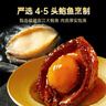 德叔鲍鱼正宗黑松露熬制大鲍鱼1只装160g加热即食4-5头冷冻鲍鱼海鲜年货 实拍图