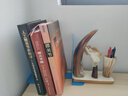 得力（deli）9英寸(高23cm)金属铁桌面书立置物架书收纳桌上书架 书籍挡靠夹2片/ 办公学习用品 蓝色9263 实拍图