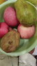 京觅福建红心白心 奶油双拼芭乐 番石榴单果150g起 净重3斤装源头直发 实拍图