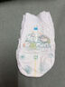 帮宝适超薄透气清新帮拉拉裤新生儿婴儿尿不湿尿片透氧Pro XL62 实拍图