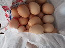 九華粮品散养土鸡蛋30枚 净重2.88斤 草鸡蛋 柴鸡蛋 笨鸡蛋 实拍图
