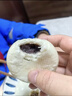 冶春食品豆沙包300g*3包18只扬州早餐豆沙馅面点生鲜家庭春节也送货 实拍图