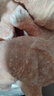 正大食品（CP）鸡琵琶腿 净重3斤鸡腿鸡肉鸡腿肉低脂生鲜早餐 实拍图