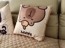 慢说抱枕沙发客厅靠枕床头靠背垫卡通枕套含芯内胆可拆洗定制 45*45cm 实拍图