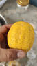 广东香水黄柠檬包邮新鲜水果柠檬精选皮薄奶茶店专用整箱 现货 柠檬净重5斤单果50g+ 实拍图