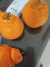 生活＆好管家 四川春见耙耙柑爆浆大果新鲜水果礼盒应季橘子现摘柑橘子桔子 8.5-9斤【性价比高-全家爽吃】净重8斤 果径80-85mm【大果】 实拍图