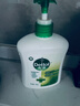 滴露（Dettol）洗手液松木500g瓶 健康抑菌消毒非补充装 儿童家庭用清爽去油 实拍图