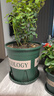九千谷花盆加仑盆 园艺种植家用塑料花盆兰花盆带托盘24*24cm3个装5082 实拍图