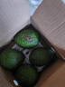京鲜生智利进口即食牛油果 巨无霸6粒装 单果200g起 源头直发一件包邮 实拍图