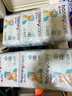 HONEYCARE好命家 狗狗纸尿裤公狗尿不湿安全裤 S适用体重5-15kg/12片3包装 实拍图