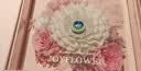 JoyFlower羽毛球永生花玫瑰花礼盒七夕情人节生日礼物结婚纪念日送女生朋友 实拍图