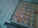 京鲜生 无抗保洁鲜鸡蛋30枚/盒 健康轻食 礼盒送礼 1.5kg/盒 源头直发 实拍图