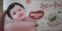 好奇（Huggies）铂金装小桃裤拉拉裤大号L60片(9-14kg)尿不湿【透爽散热】 实拍图