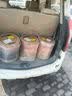 立邦金装净味五合一内墙乳胶漆竹炭抗菌5合1优等品套装54L【调色】 实拍图