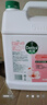 滴露（Dettol）洗手液补充装大桶消毒滋润5L 儿童家庭装杀菌护手 实拍图
