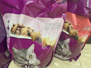 伟嘉猫粮成猫夹心粮 全价粮吞拿鱼1.3kg布偶蓝猫橘猫加菲英短猫咪 实拍图