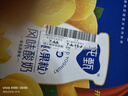 蒙牛纯甄黄桃果粒风味酸奶200g*10盒 夏日解腻伴侣 送礼盒装 实拍图