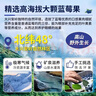 蓝莓干山长白山无添加姆同款正品独立包装大兴安岭特级 【优质大果】大果蓝莓干500g 实拍图