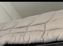雅鹿·自由自在A类被子抗菌秋冬天季棉被芯单单人宿舍学生 180x220cm7斤 古典灰 实拍图