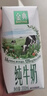 伊利金典纯牛奶整箱 200ml*24盒 3.6g乳蛋白 原生高钙 年货礼盒装 实拍图