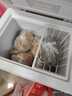 志高（CHIGO）小冰柜家用冷冻小型一级节能省电迷你卧式冷藏保鲜储母乳冷柜 【一级能效 全国联保】 106L 单温单门 实拍图