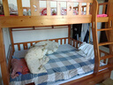 临稚胡桃木 儿童上下床实木高低床双层床上下铺床两层木床子母床 爬梯款 上铺宽1.6米下铺宽1.8米 实拍图