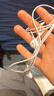 Apple/苹果 EarPods 闪电/Lightning有线耳机 苹果耳机有线耳机原装耳机 适用闪电接口的手机平板 实拍图