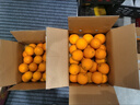 京鲜生 冰糖橙/橙子 9斤装 单果150-200g 生鲜水果年货礼盒 实拍图