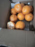 京鲜生 四川春见耙耙柑 净重5斤 单果220g起 生鲜水果柑橘桔子年货礼盒 实拍图