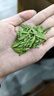 醉茗山2026新茶明前龙井500克 早春茶礼盒装杭州散装鲜芽嫩芽绿茶浓香型 实拍图
