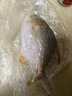 北海湾 金鲳鱼 新鲜海捕大鲳鱼海鲜平鱼冷冻扁鱼冰鲜大鲳鱼海鱼银鱼鱼类 【净重500-600克/条】 共4条 实拍图