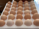 京鲜生 无抗保洁鲜鸡蛋30枚/盒 健康轻食 礼盒送礼 1.5kg/盒 源头直发 实拍图