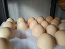 1号会员店One's Member叶黄素可生食标准鲜鸡蛋 20枚 单枚55g 源头直发 实拍图