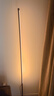 落地灯ins简约北欧led客厅现代轻奢卧室台灯床头灯墙角护眼氛围灯 【插电100CM】按键暖光 实拍图