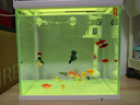 森森 超白玻璃智能鱼缸一体缸自循环家用水族箱HE-300 实拍图