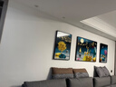 Sixpoetry 客厅装饰画现代简约沙发背景墙壁画轻奢三联晶瓷画大气高档挂画 家和富贵（铝合金外框） 晶瓷画左右50*70+中间100*70亮面 实拍图