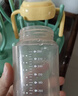 小土豆（potato）儿童水杯大宝宝吸管奶瓶PP水杯9个月以上带重力球 300ml麦芽黄 实拍图