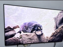 三星高端款 65X8F 65英寸 量子点 AI Mini LED艺术电视 壁纸电视 超薄平嵌 144Hz QA65QNX8FAJXXZ 实拍图
