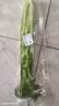 大芹菜约400g 实拍图