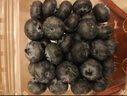 怡颗莓Driscoll's 云南蓝莓Jumbo大果18mm+ 4盒约125g/盒 新鲜水果 实拍图