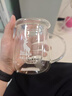 物生物（RELEA）茶杯男茶水分离杯玻璃杯水杯泡茶杯子女耐高温花茶杯三八节礼物 实拍图