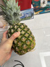 京鲜生 海南金钻凤梨  2个装 单果2斤起  生鲜水果 实拍图