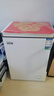 容声（Ronshen）100L单温家用冰柜微霜PCM抗菌内胆深冷锁鲜一级能效节能冷柜BD/BC-100E10HNLAJ国家补贴 实拍图