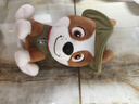 汪汪队立大功（PAW PATROL）毛绒玩具狗狗陪睡玩偶经典款小克小号坐姿可爱公仔男女孩生日礼物 实拍图